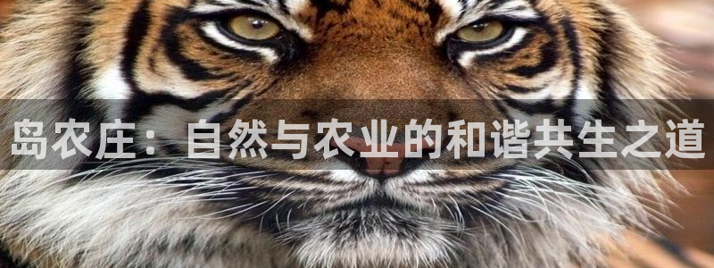 琳琅娱乐八卦