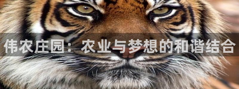 琳琅娱乐前7O777
