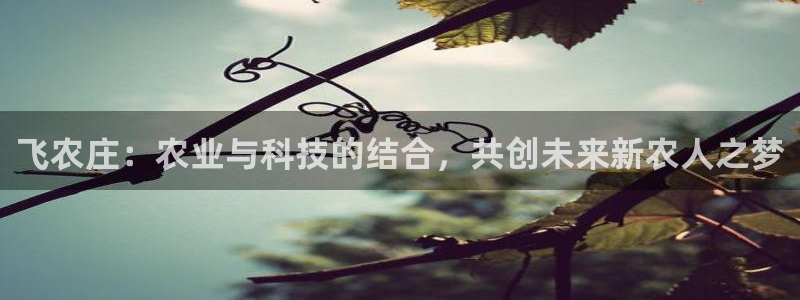 琳琅科技娱乐机器人教程
