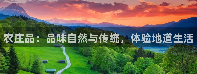 琳琅娱乐工作室地址