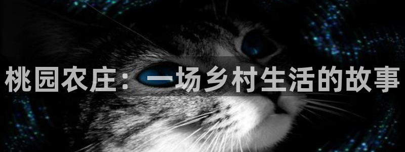 琳琅娱乐工作室怎么样