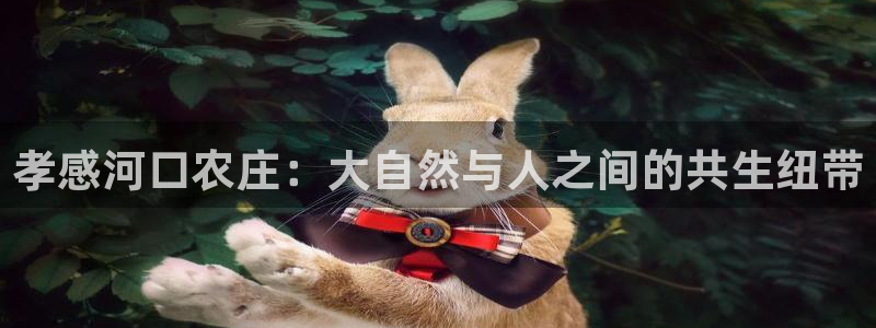 琳琅娱乐足球