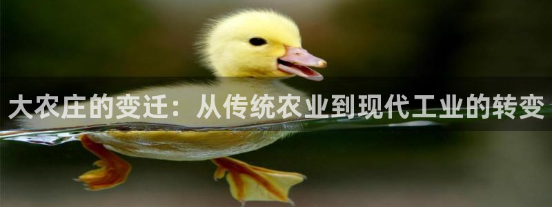 琳琅娱乐APP下载