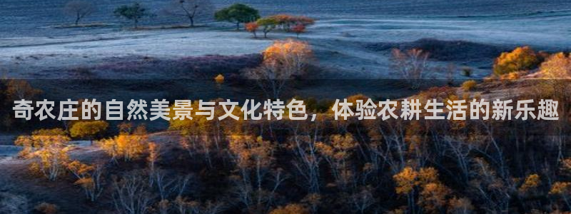 琳琅科技娱乐机器人插件