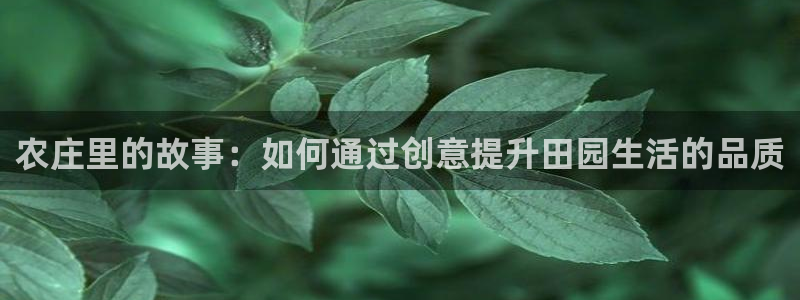 琅琳琅娱乐社区