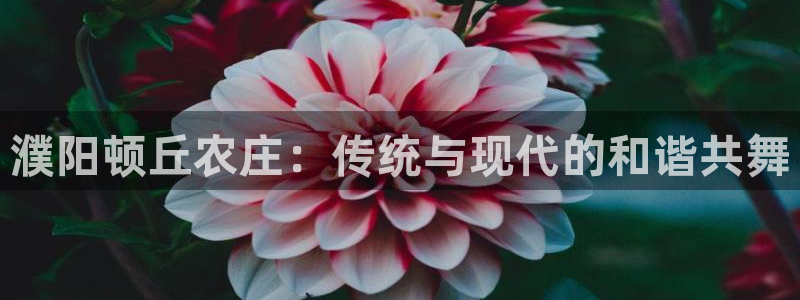 琳琅娱乐周7O777