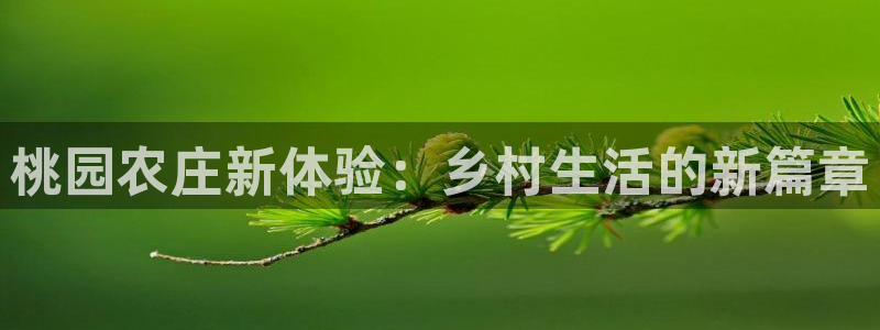 琳琅娱乐怎么样