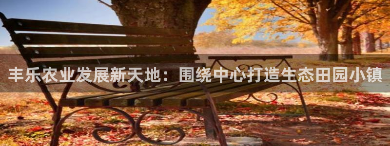 琳琅娱乐足球