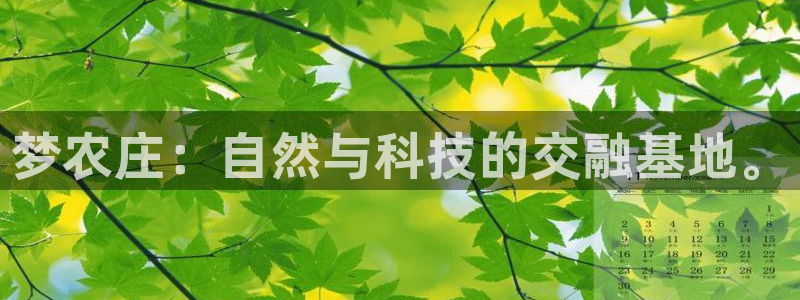 琳琅娱乐平台是真的吗