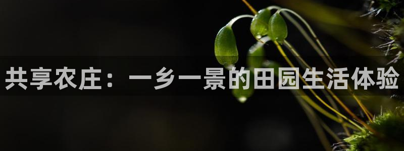琳琅娱乐工作室怎么样啊