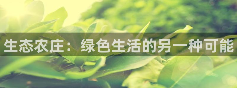 杭州琳琅互动娱乐