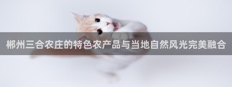 琳琅社区娱乐视频