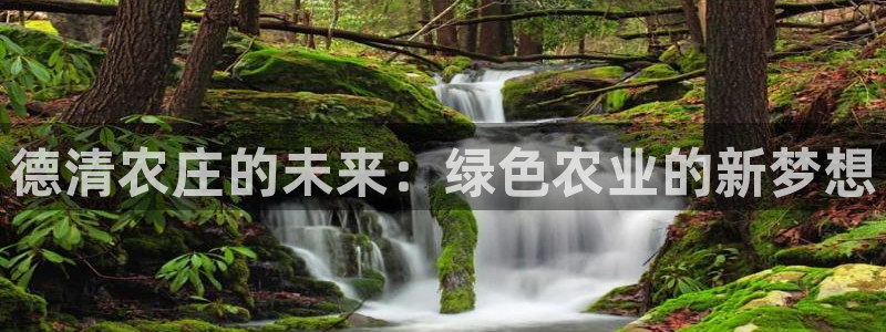 琳琅满目的娱乐设施