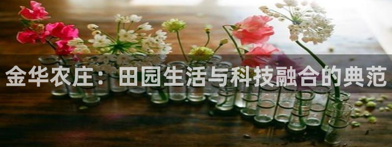 琳琅娱乐官网