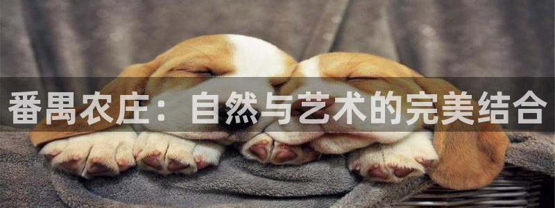 琳琅科技娱乐机器人插件