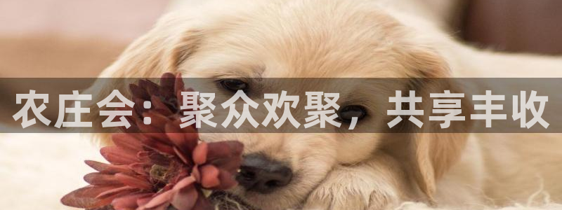 琳琅谈娱乐