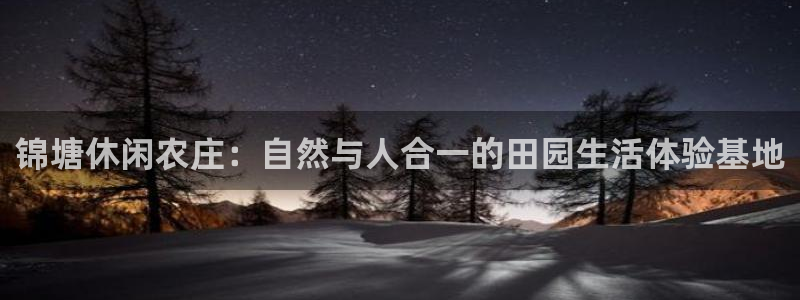 琳琅科技娱乐机器人插件
