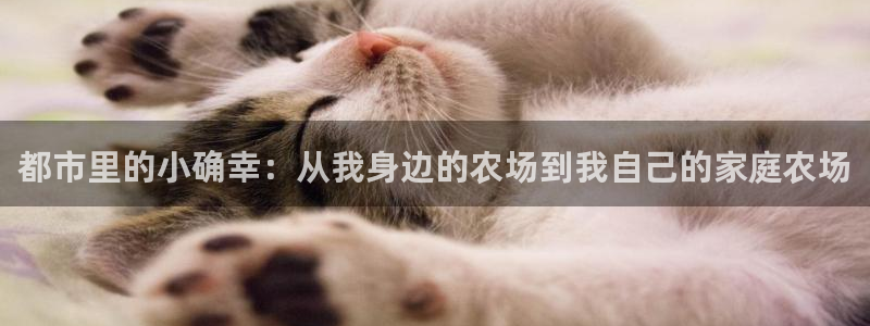 祖龙娱乐官网爱在琳琅