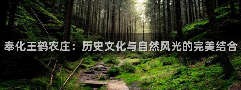 琳琅娱乐平台怎么样啊