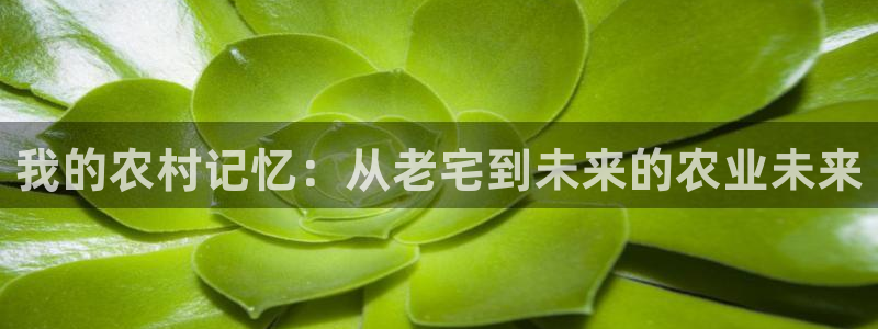 琳琅科技娱乐机器人教程
