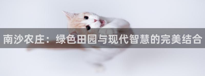 琳琅科技娱乐机器人插件
