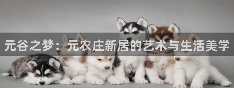 琳琅谈娱乐
