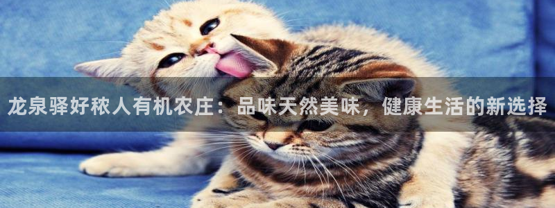 琳琅娱乐社区600u