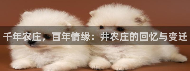 琳琅AV娱乐