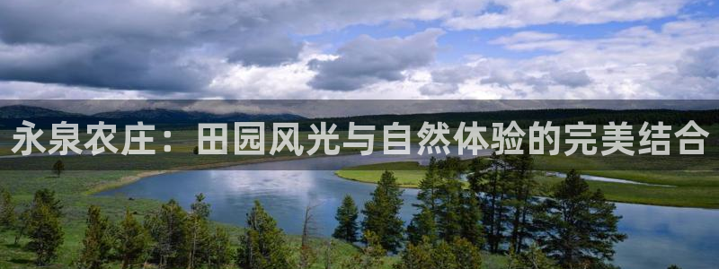 琳琅娱乐a