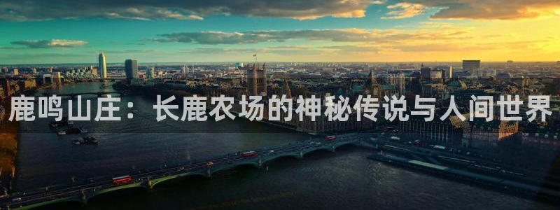 琳琅娱乐平台注册