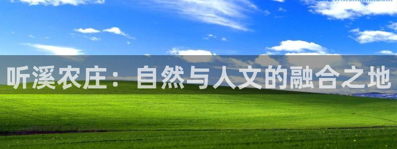 娱乐从琳琅榜开始的小说