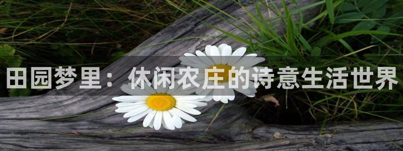 琳琅娱乐琳琅平台