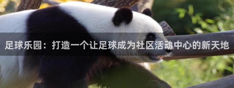 琳琅娱乐工作室