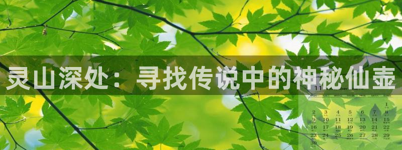 琳琅娱乐天美2
