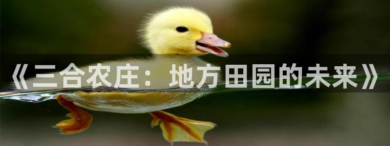 琳琅娱乐a