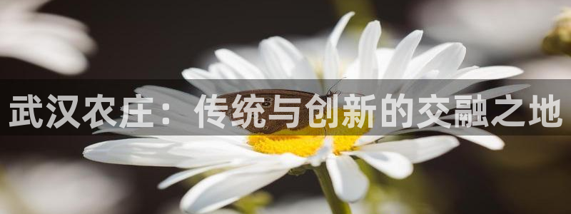 琳琅娱乐代理人是谁