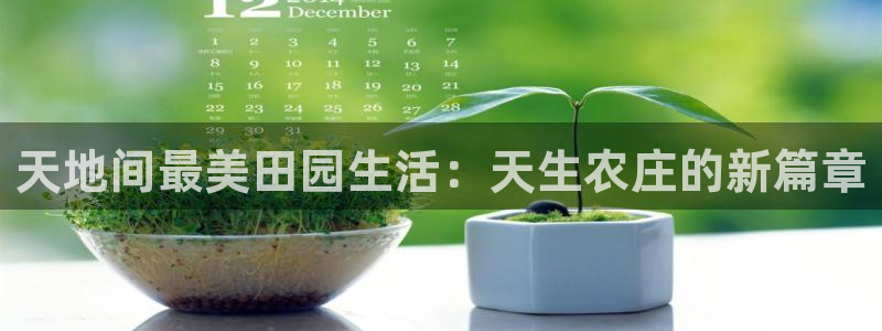 琳琅娱乐官网
