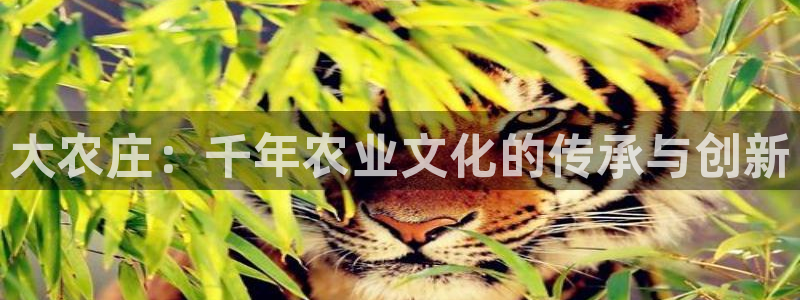 琳琅科技娱乐机器