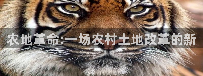 琳琅国际娱乐会所怎么样