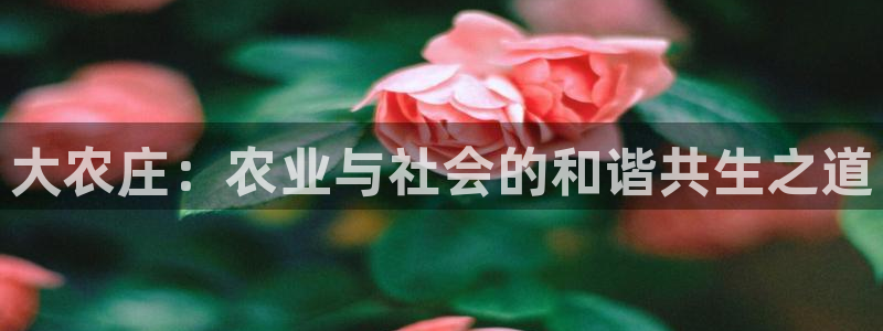 琳琅科技娱乐机器人插件