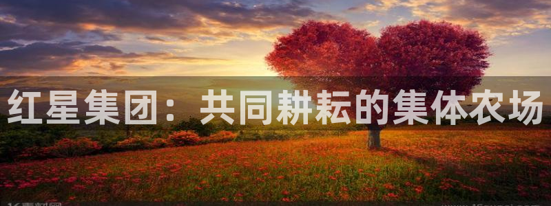 琳琅社区文艺娱乐