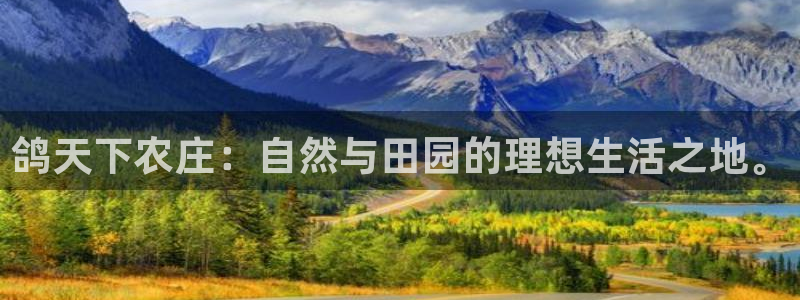 琳琅满目的娱乐设施