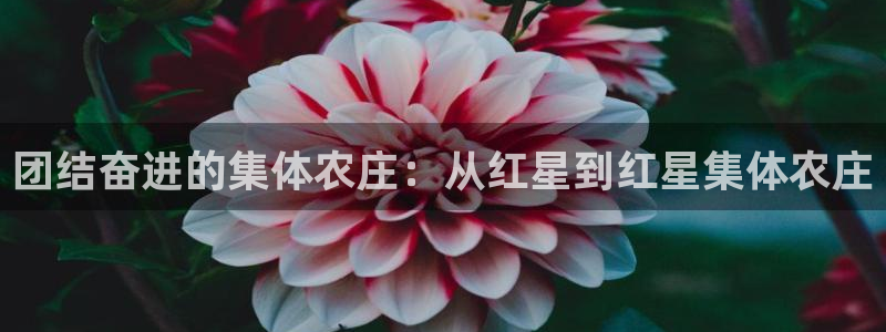 琳琅娱乐代理怎么样