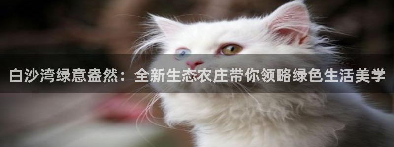 琳琅娱乐注册登录官网