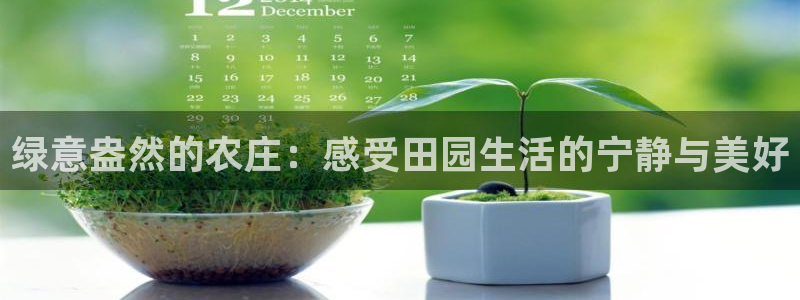 琳琅娱乐场所有哪些