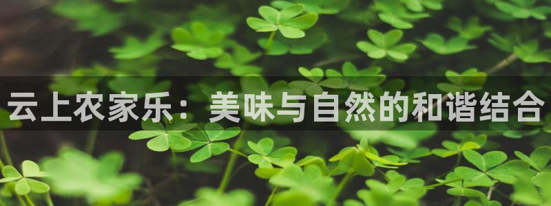 琳琅作者娱乐圈女主