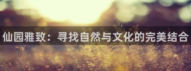 琳琅娱乐代理怎么做的