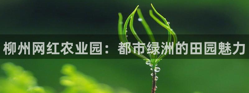 琳琅娱乐平台是真的吗知乎