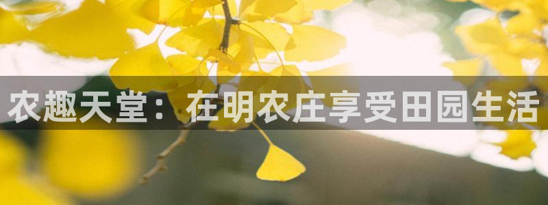 琳琅娱乐在线注册