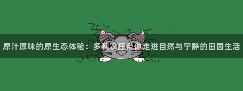 娱乐从琳琅榜开始的小说